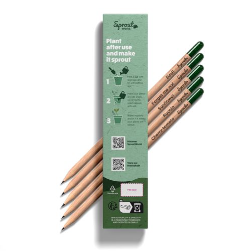 Sprout-Verpackung mit 5 Bleistiften - Bild 2